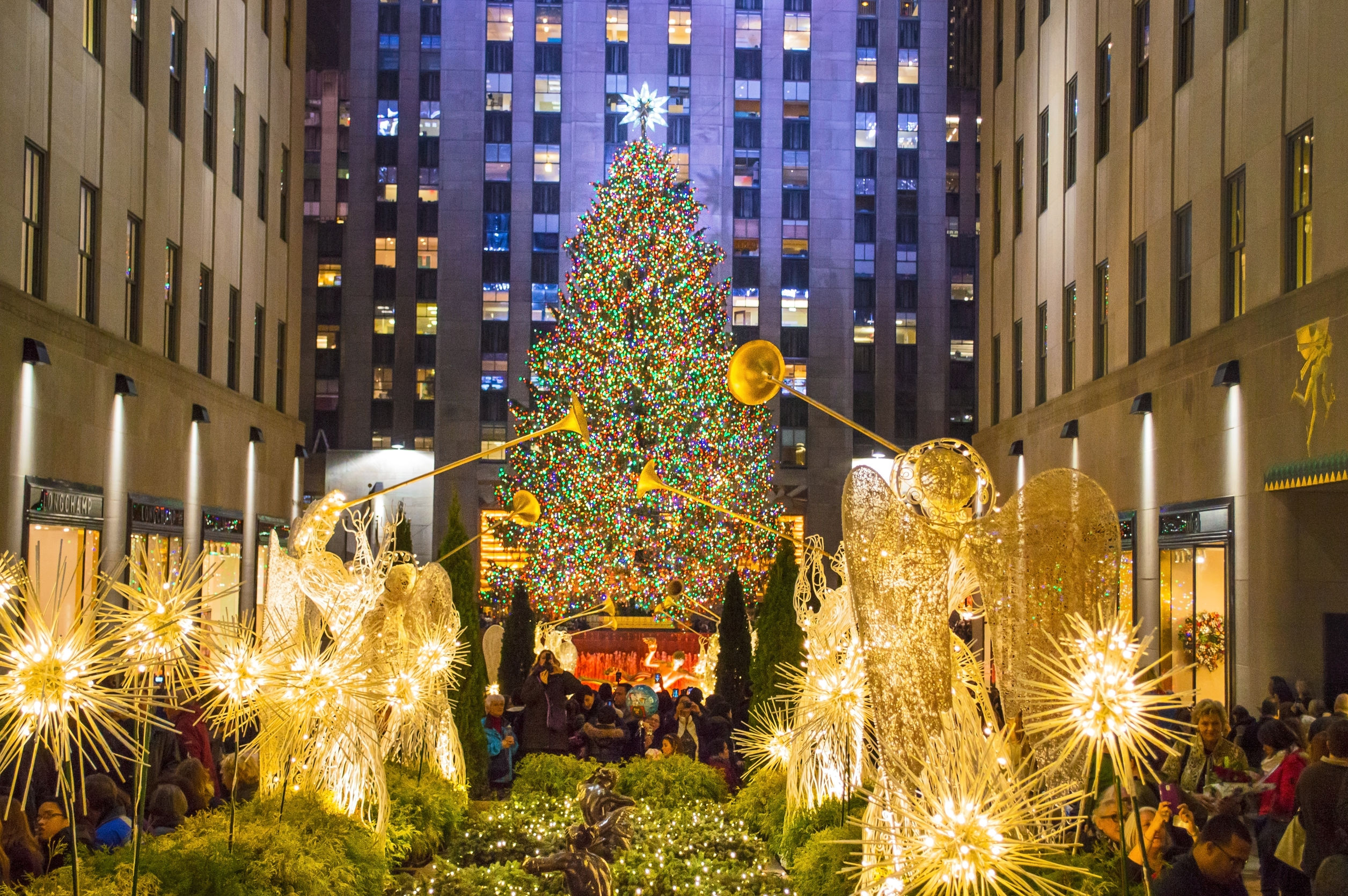 Best Holiday Displays in NYC