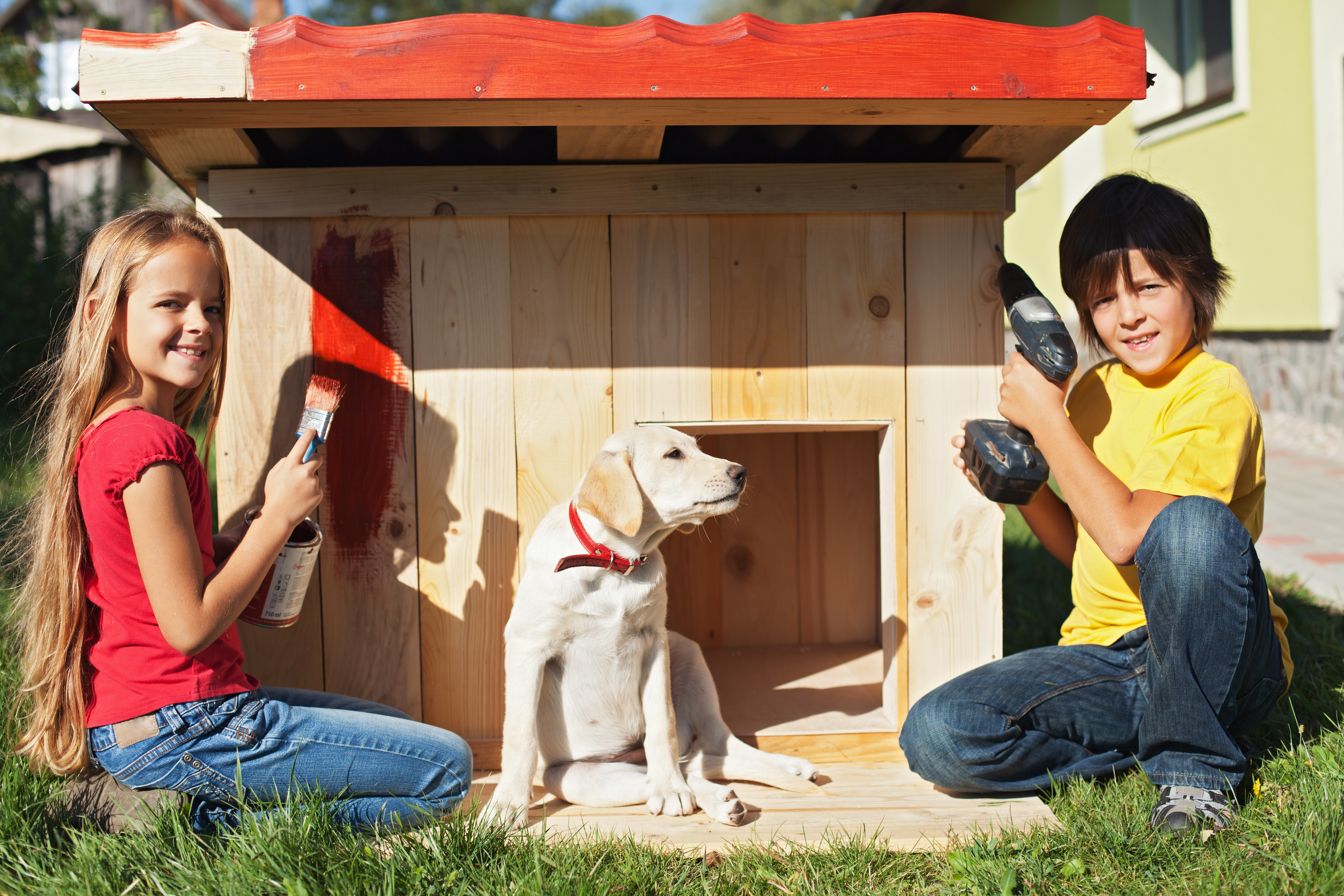 puppy house design