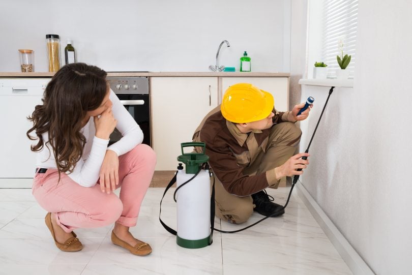 Pest Proofing Your Home
