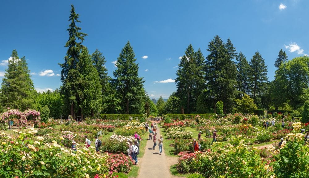 Best Botanical Gardens In Portland Or Unpakt Blog