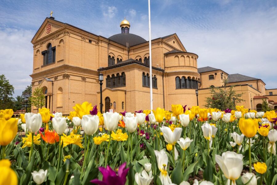 catholic church in brookland washington dc