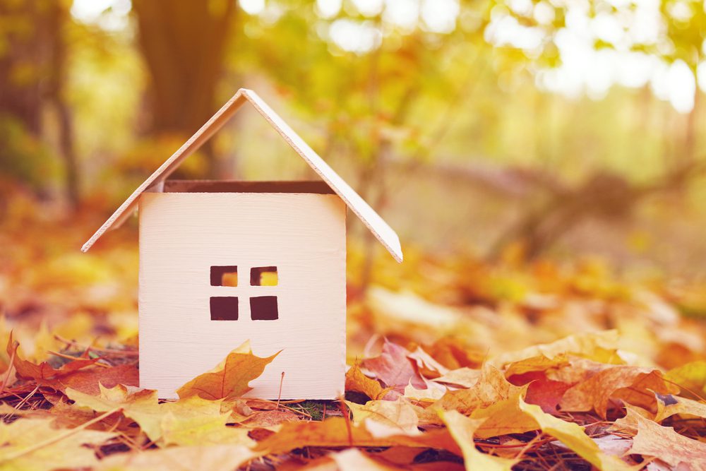 cardboard box house in autumn leaves